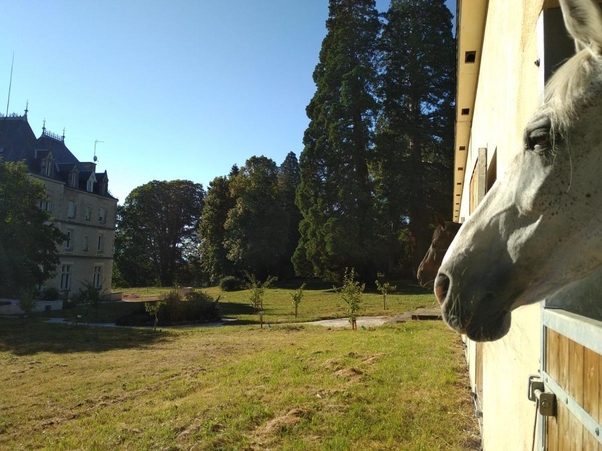Hotel Chateau De St Alyre Sanssat Exterior foto